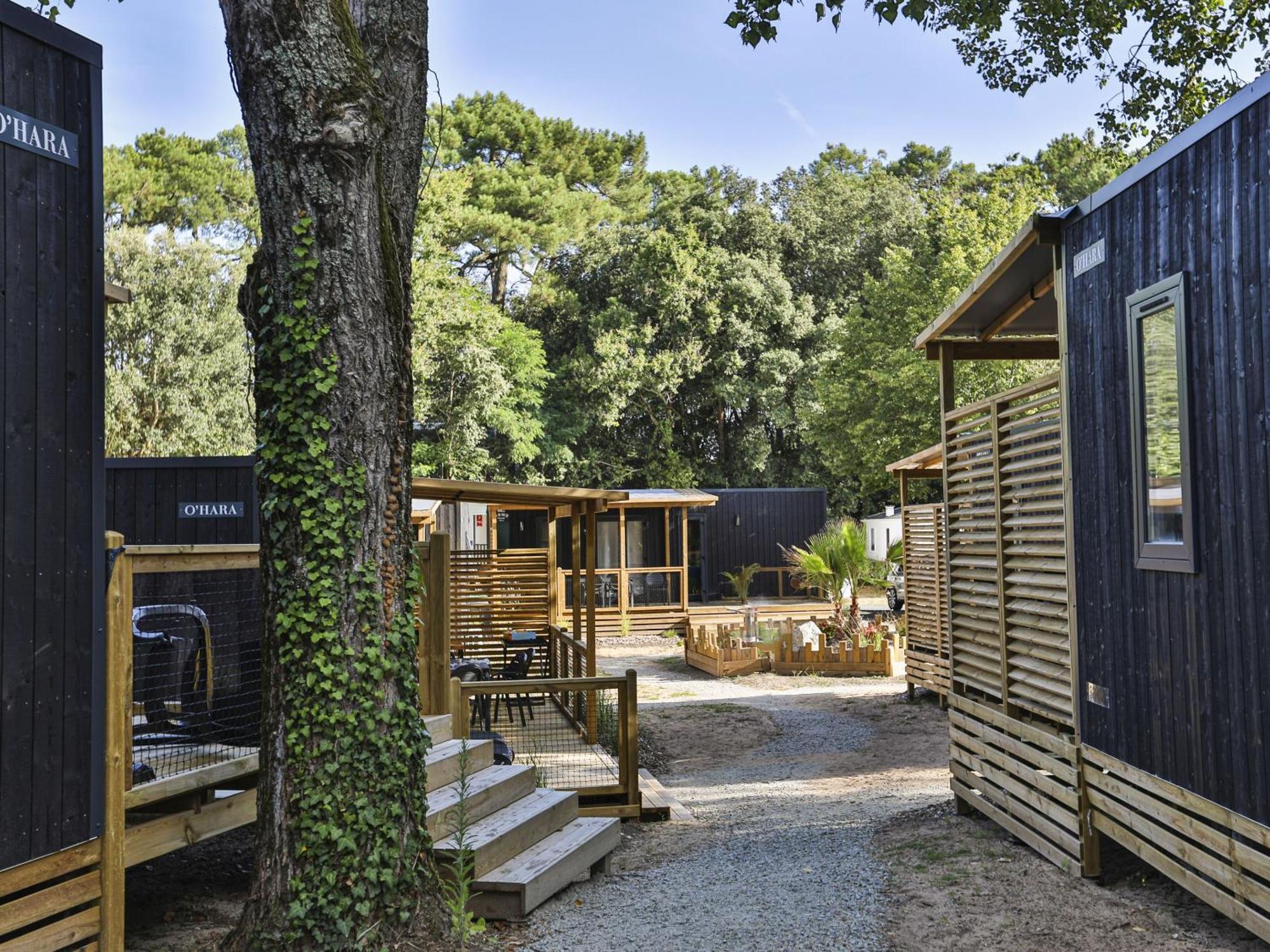 Domaine Residentiel De Plein Air Les Dunes Longeville-sur-Mer Ngoại thất bức ảnh